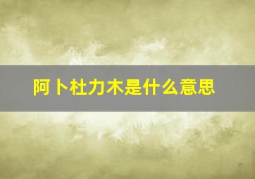 阿卜杜力木是什么意思