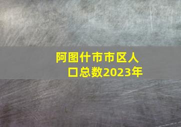 阿图什市市区人口总数2023年