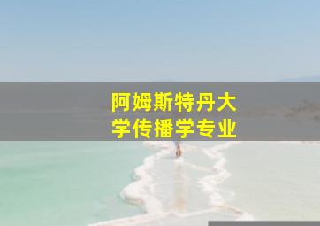 阿姆斯特丹大学传播学专业