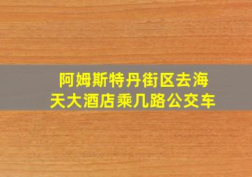 阿姆斯特丹街区去海天大酒店乘几路公交车