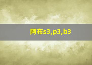 阿布s3,p3,b3