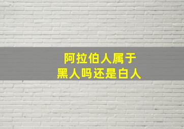 阿拉伯人属于黑人吗还是白人