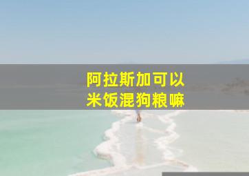 阿拉斯加可以米饭混狗粮嘛