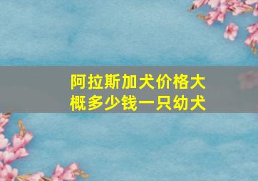 阿拉斯加犬价格大概多少钱一只幼犬