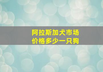 阿拉斯加犬市场价格多少一只狗