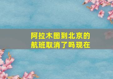 阿拉木图到北京的航班取消了吗现在