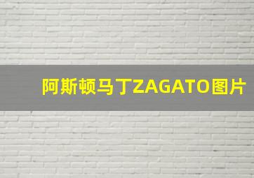 阿斯顿马丁ZAGATO图片