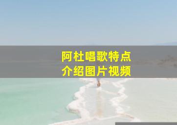 阿杜唱歌特点介绍图片视频