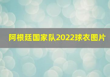 阿根廷国家队2022球衣图片