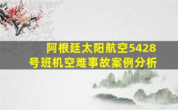 阿根廷太阳航空5428号班机空难事故案例分析