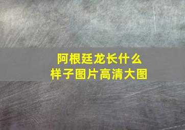 阿根廷龙长什么样子图片高清大图