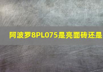 阿波罗8PL075是亮面砖还是