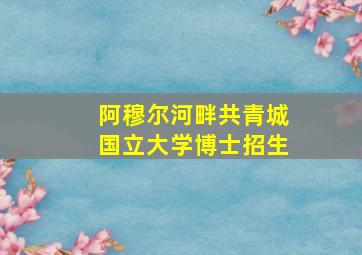 阿穆尔河畔共青城国立大学博士招生