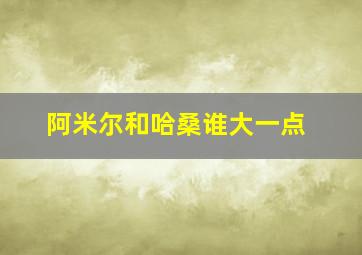 阿米尔和哈桑谁大一点