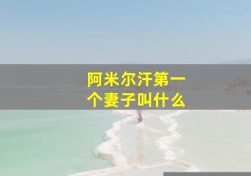 阿米尔汗第一个妻子叫什么