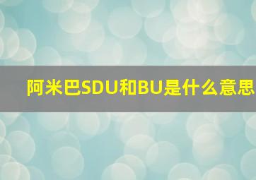 阿米巴SDU和BU是什么意思