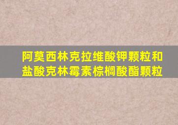 阿莫西林克拉维酸钾颗粒和盐酸克林霉素棕榈酸酯颗粒