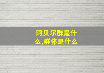 阿贝尔群是什么,群体是什么