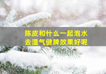 陈皮和什么一起泡水去湿气健脾效果好呢