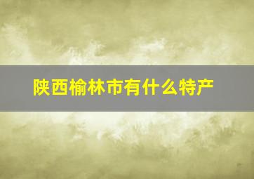 陕西榆林市有什么特产