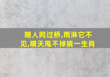 随人同过桥,雨淋它不见,晴天甩不掉猜一生肖