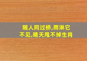 随人同过桥,雨淋它不见,晴天甩不掉生肖