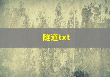 隧道txt