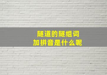 隧道的隧组词加拼音是什么呢