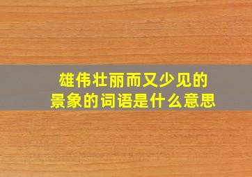 雄伟壮丽而又少见的景象的词语是什么意思