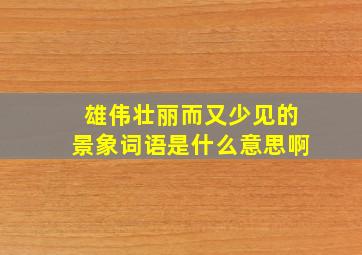 雄伟壮丽而又少见的景象词语是什么意思啊