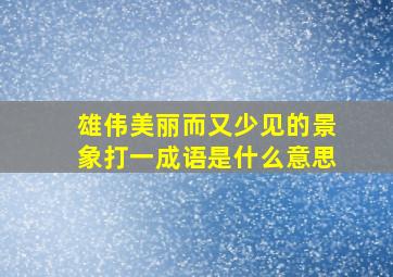 雄伟美丽而又少见的景象打一成语是什么意思