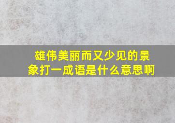 雄伟美丽而又少见的景象打一成语是什么意思啊