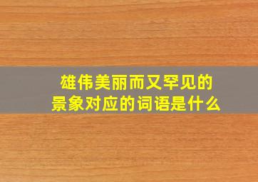 雄伟美丽而又罕见的景象对应的词语是什么