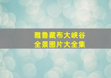 雅鲁藏布大峡谷全景图片大全集