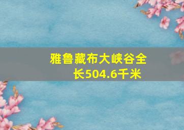 雅鲁藏布大峡谷全长504.6千米