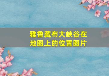 雅鲁藏布大峡谷在地图上的位置图片