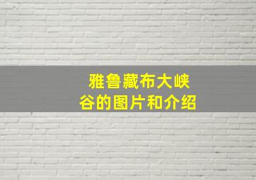 雅鲁藏布大峡谷的图片和介绍