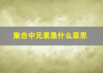 集合中元素是什么意思