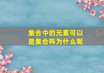 集合中的元素可以是集合吗为什么呢