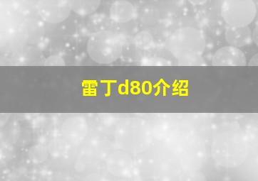 雷丁d80介绍