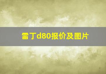 雷丁d80报价及图片