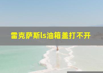 雷克萨斯ls油箱盖打不开