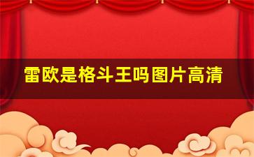 雷欧是格斗王吗图片高清