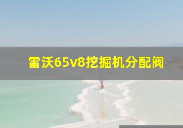 雷沃65v8挖掘机分配阀