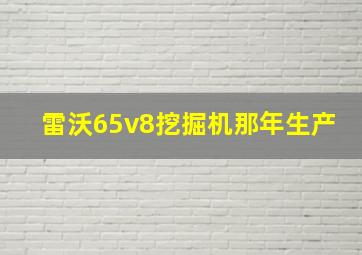 雷沃65v8挖掘机那年生产