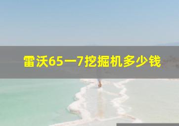 雷沃65一7挖掘机多少钱