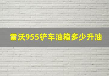 雷沃955铲车油箱多少升油