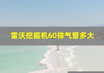 雷沃挖掘机60排气管多大