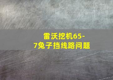 雷沃挖机65-7兔子挡线路问题