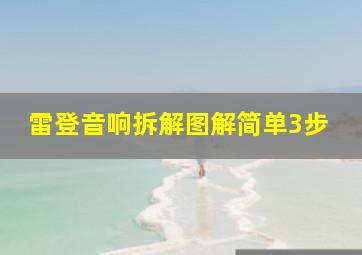 雷登音响拆解图解简单3步